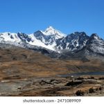 探索深夜网站:隐秘网络世界的奇妙之旅 9ciqbb6